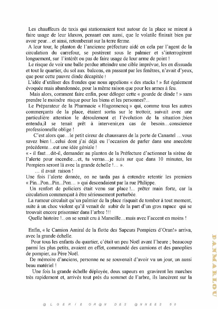 La dinde de Noel (3).jpg